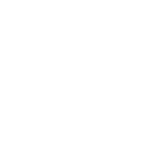 reno
